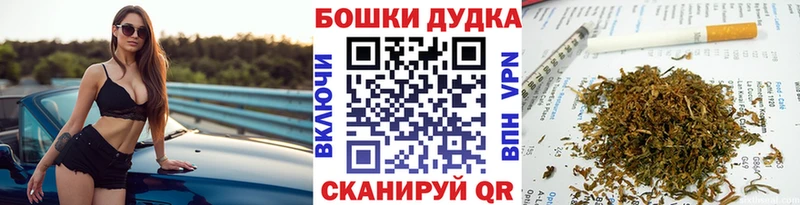 Каннабис ГИДРОПОН  Купить где  Сольцы 